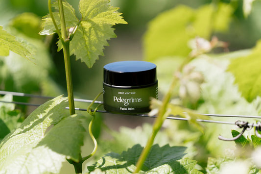 Spotlight on - Pelegrims Skin Care