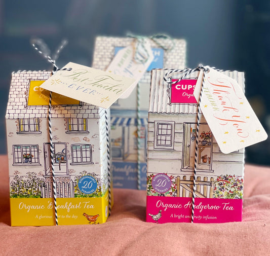 Teachers Gift guide