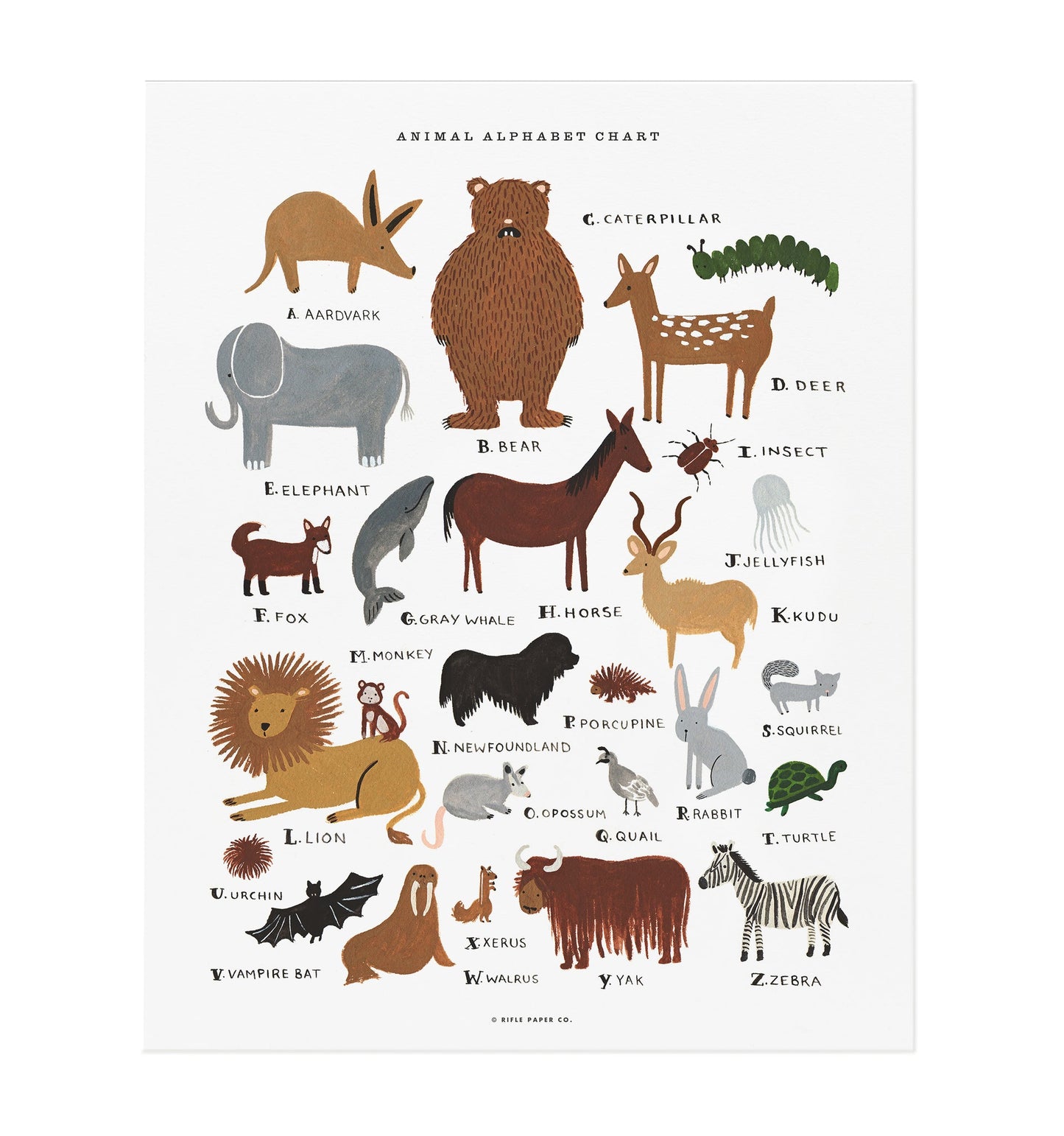 Animal Alphabet Art Print