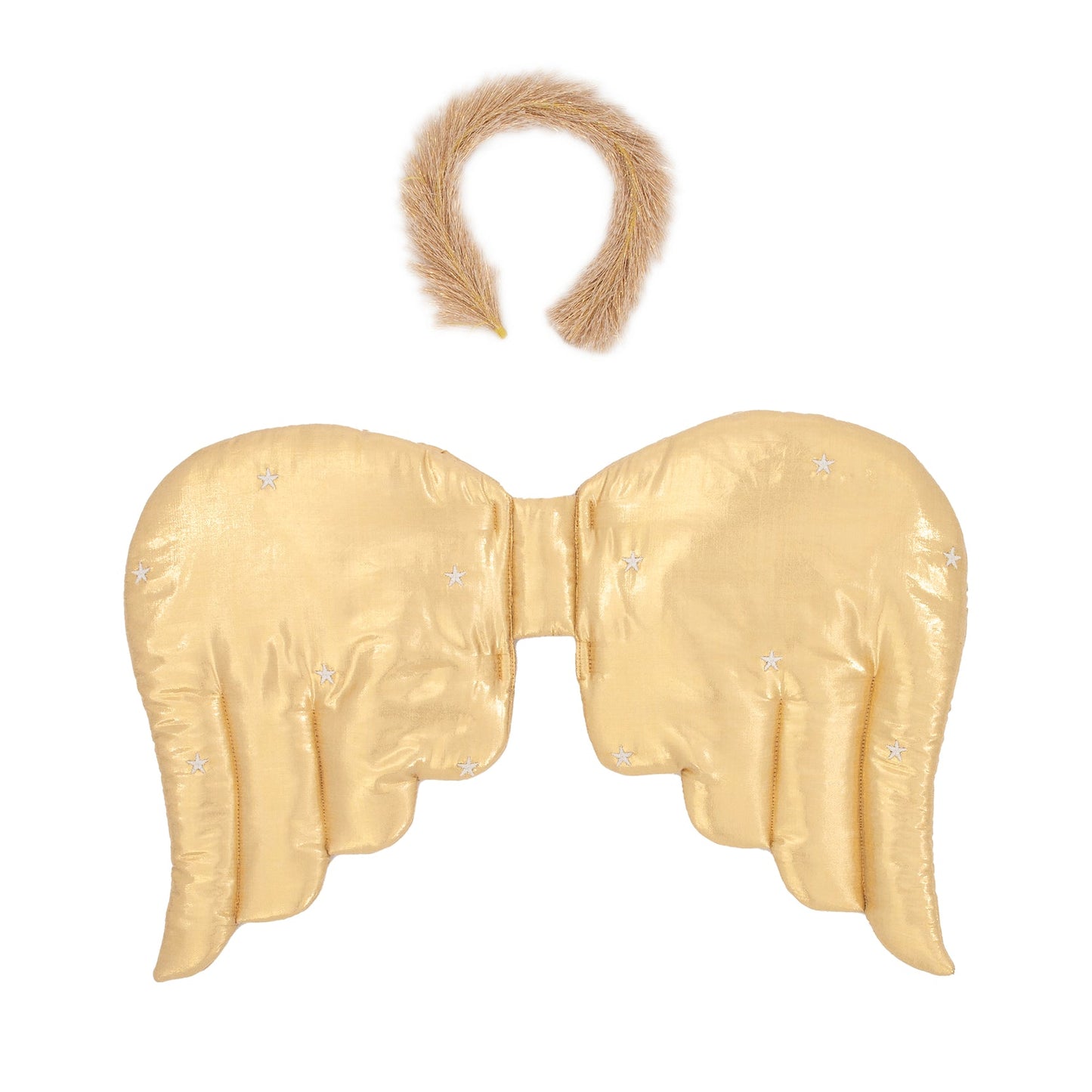 Gold Angel Wings and Crown