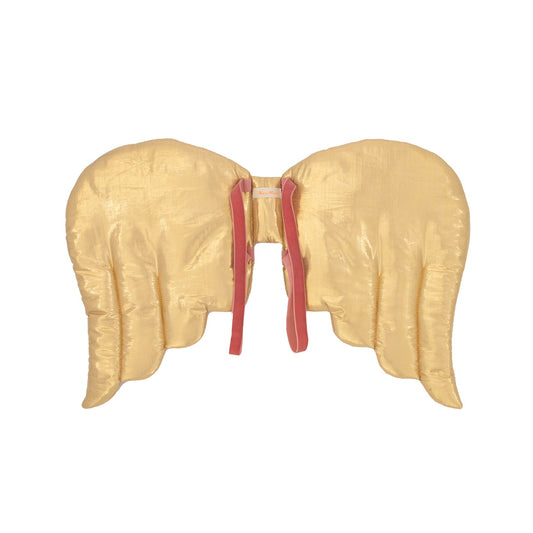 Gold Angel Wings and Crown