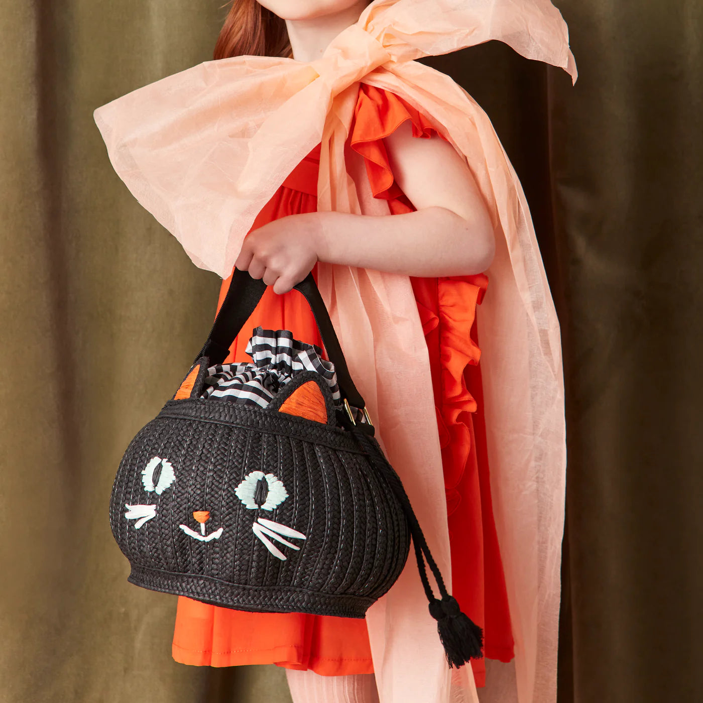 Trick Or Treat Cat Basket  Bag