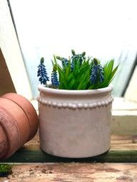 Beaded Cachepot - Calamine