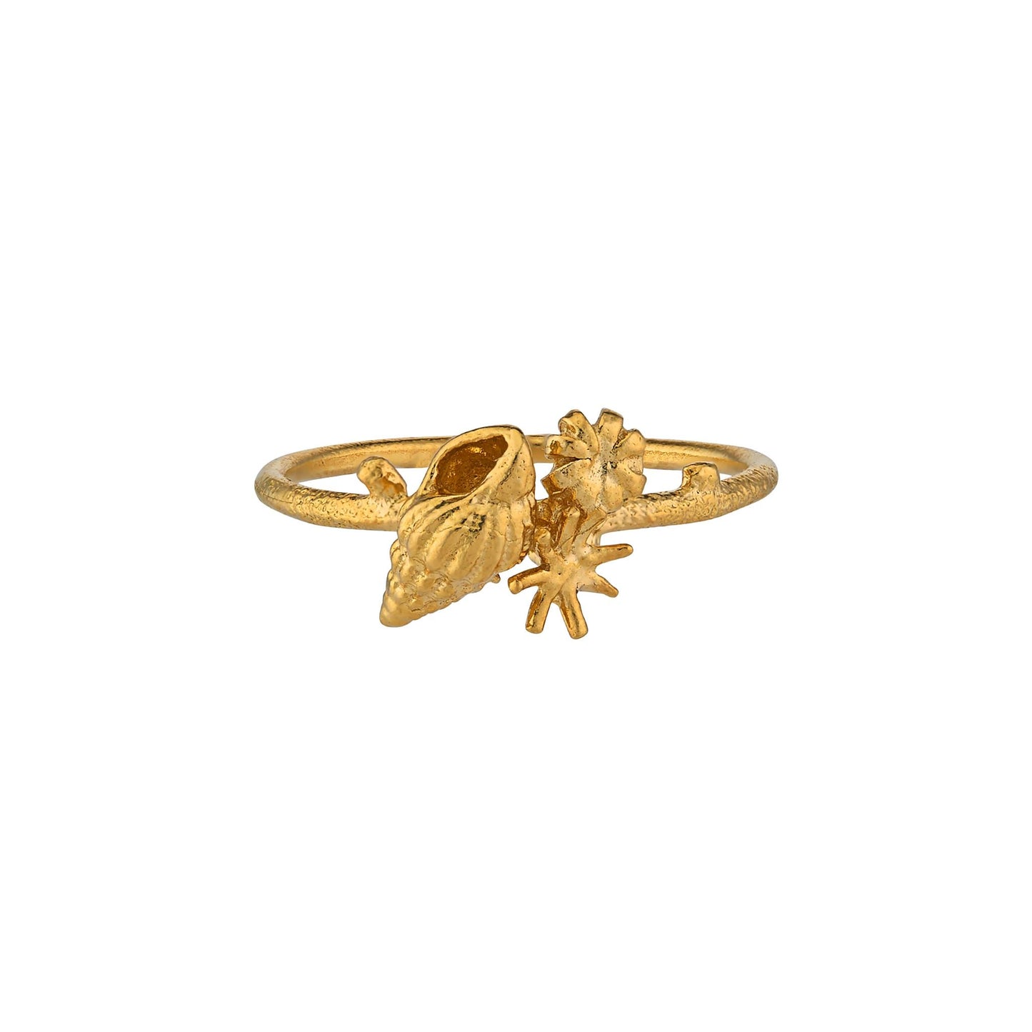 Shell Cluster Stacking Ring