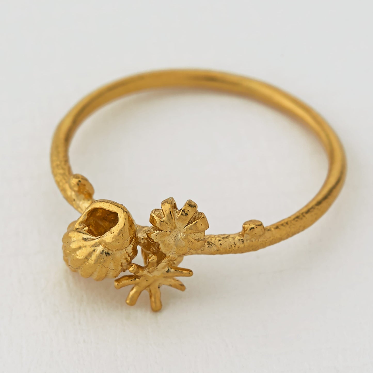 Shell Cluster Stacking Ring