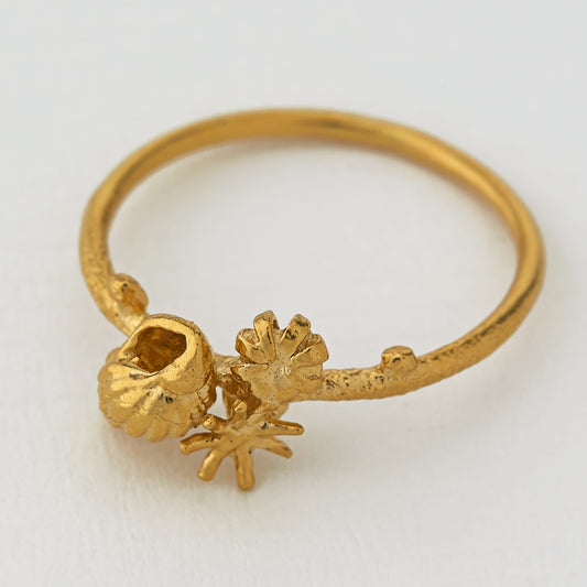 Shell Cluster Stacking Ring