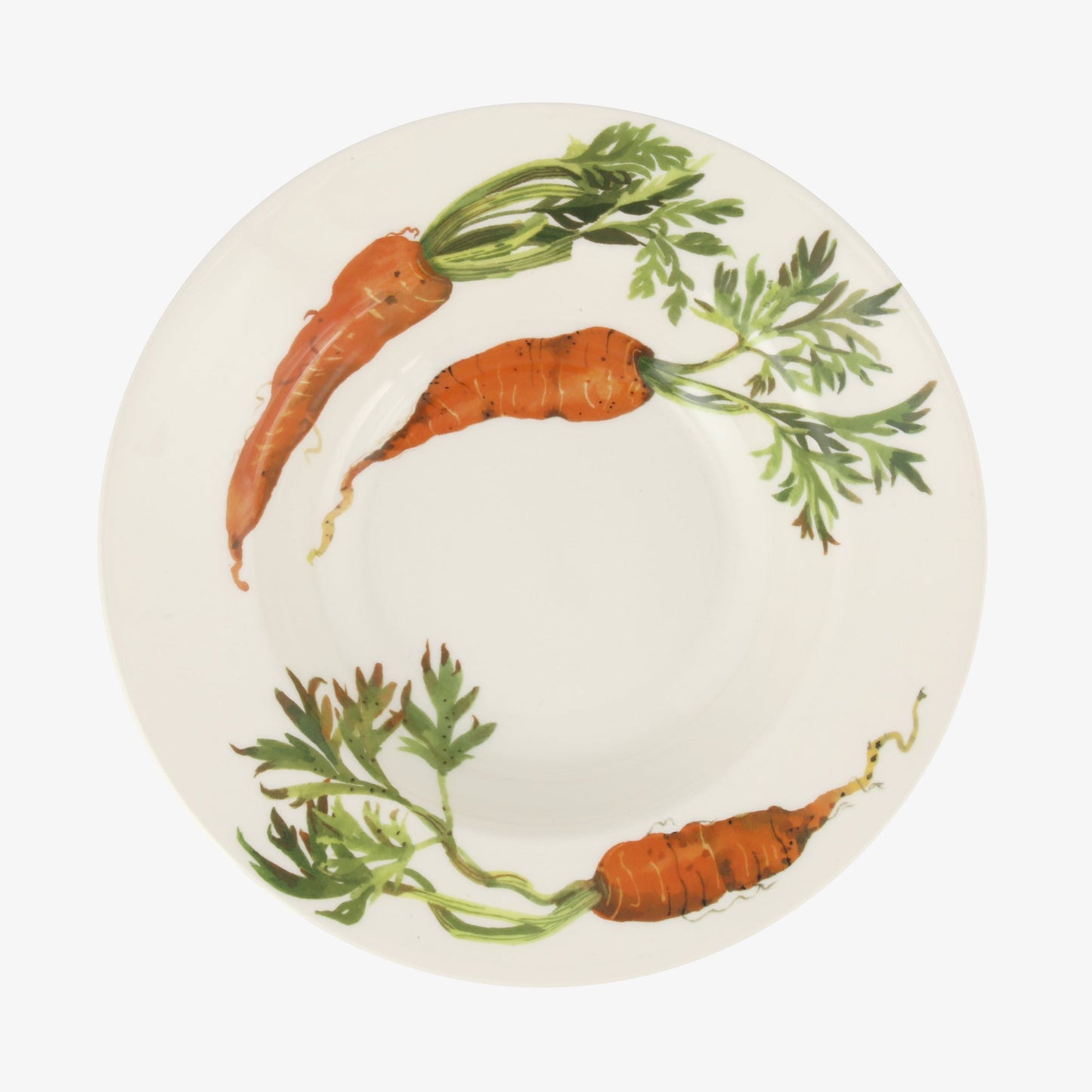 Vegetable Garden Carrots Soup Plate