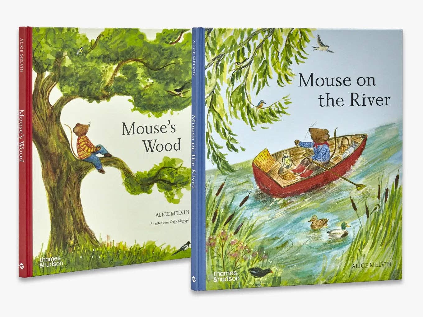 Mouse on the River (Mouse’s Adventures)