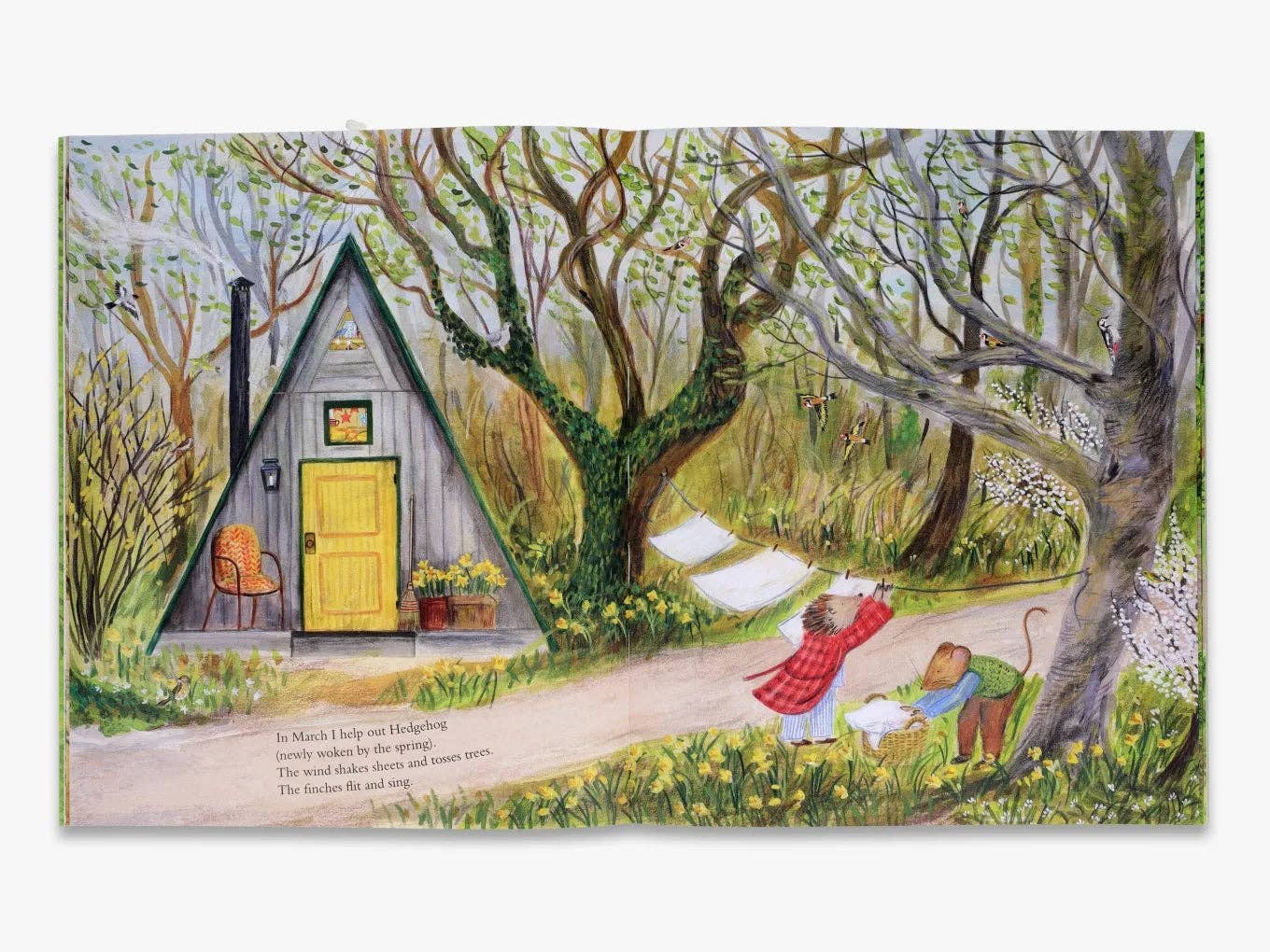 Mouse's Wood (Mouse’s Adventures)