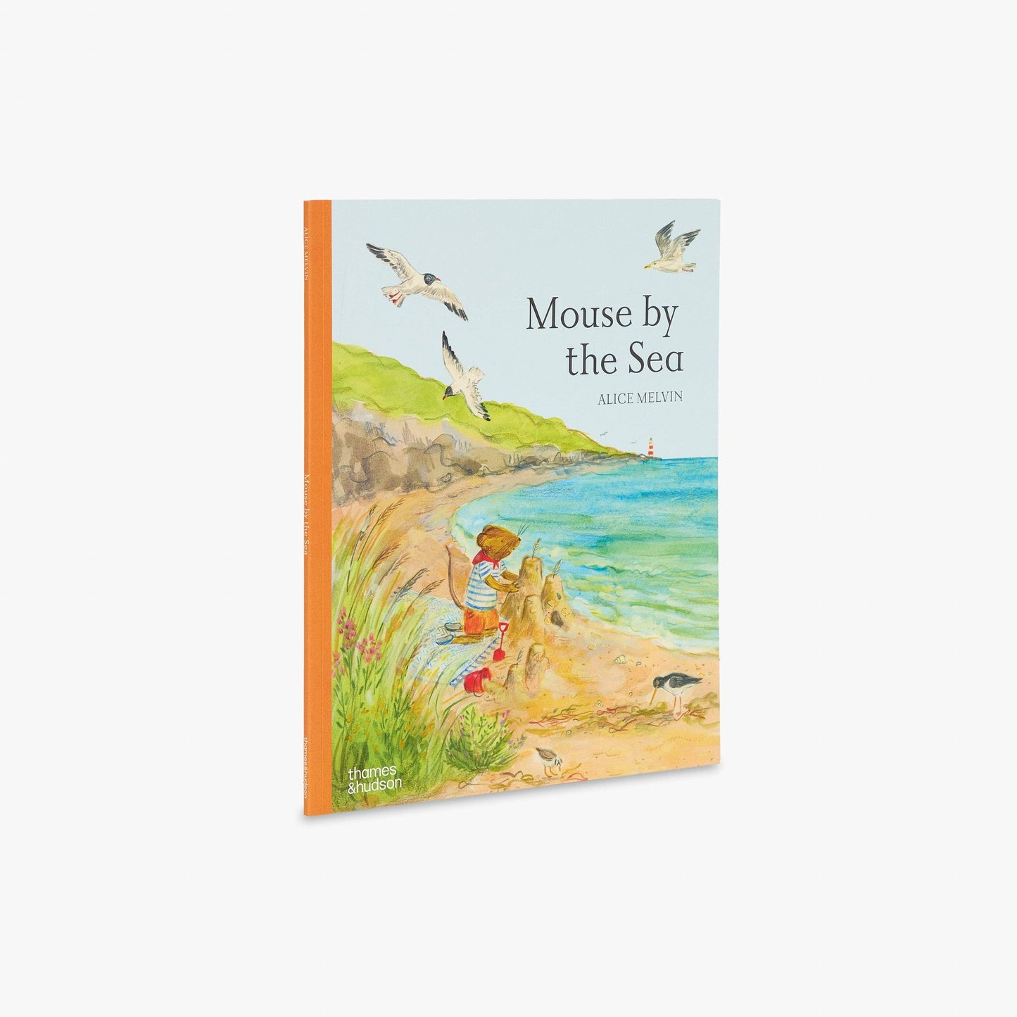 Mouse by the Sea (Mouse’s Adventures)