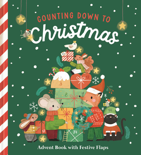 Counting down to Christmas - Advent Book