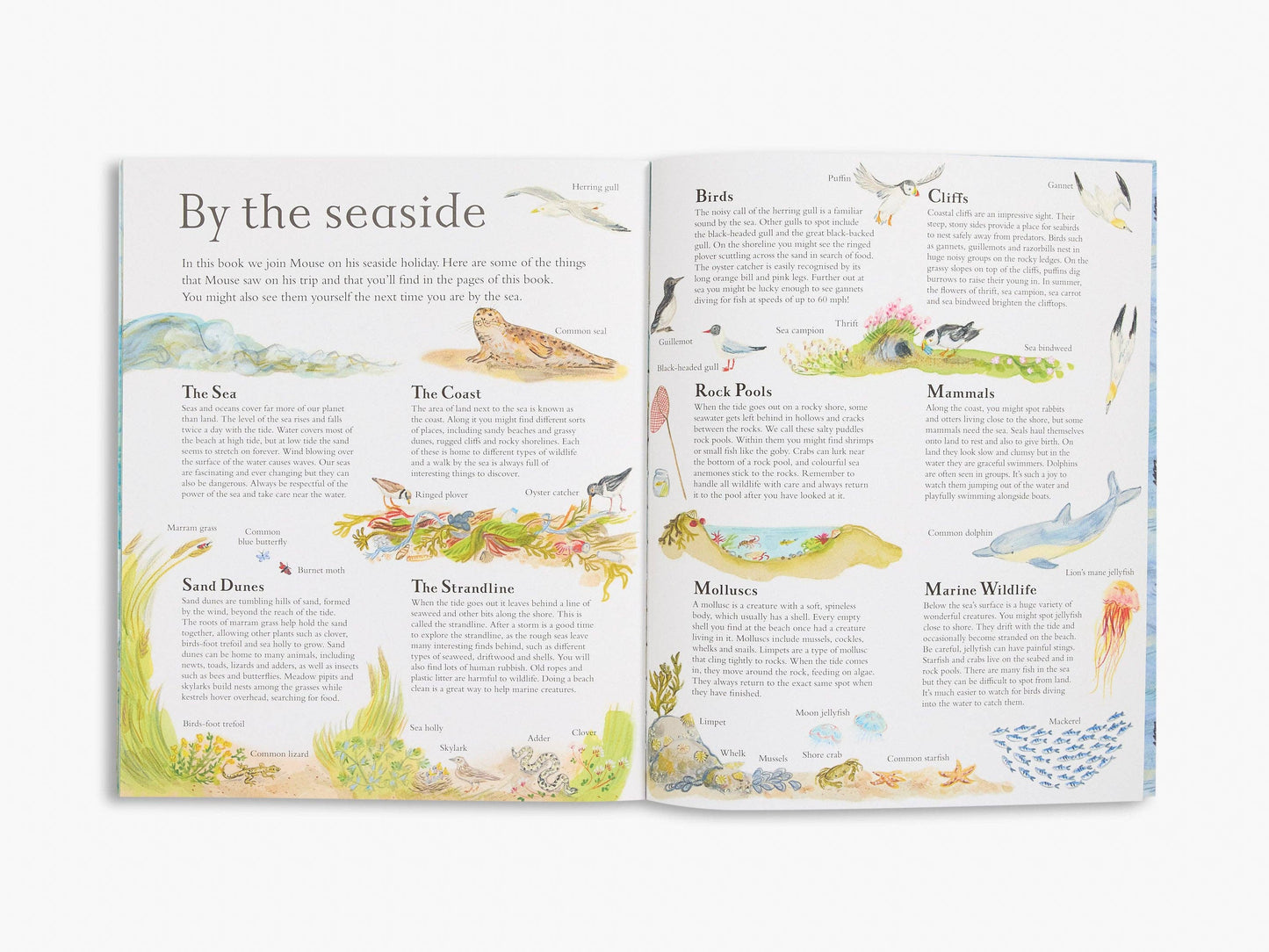 Mouse by the Sea (Mouse’s Adventures)