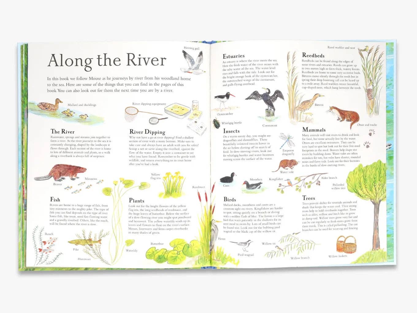 Mouse on the River (Mouse’s Adventures)