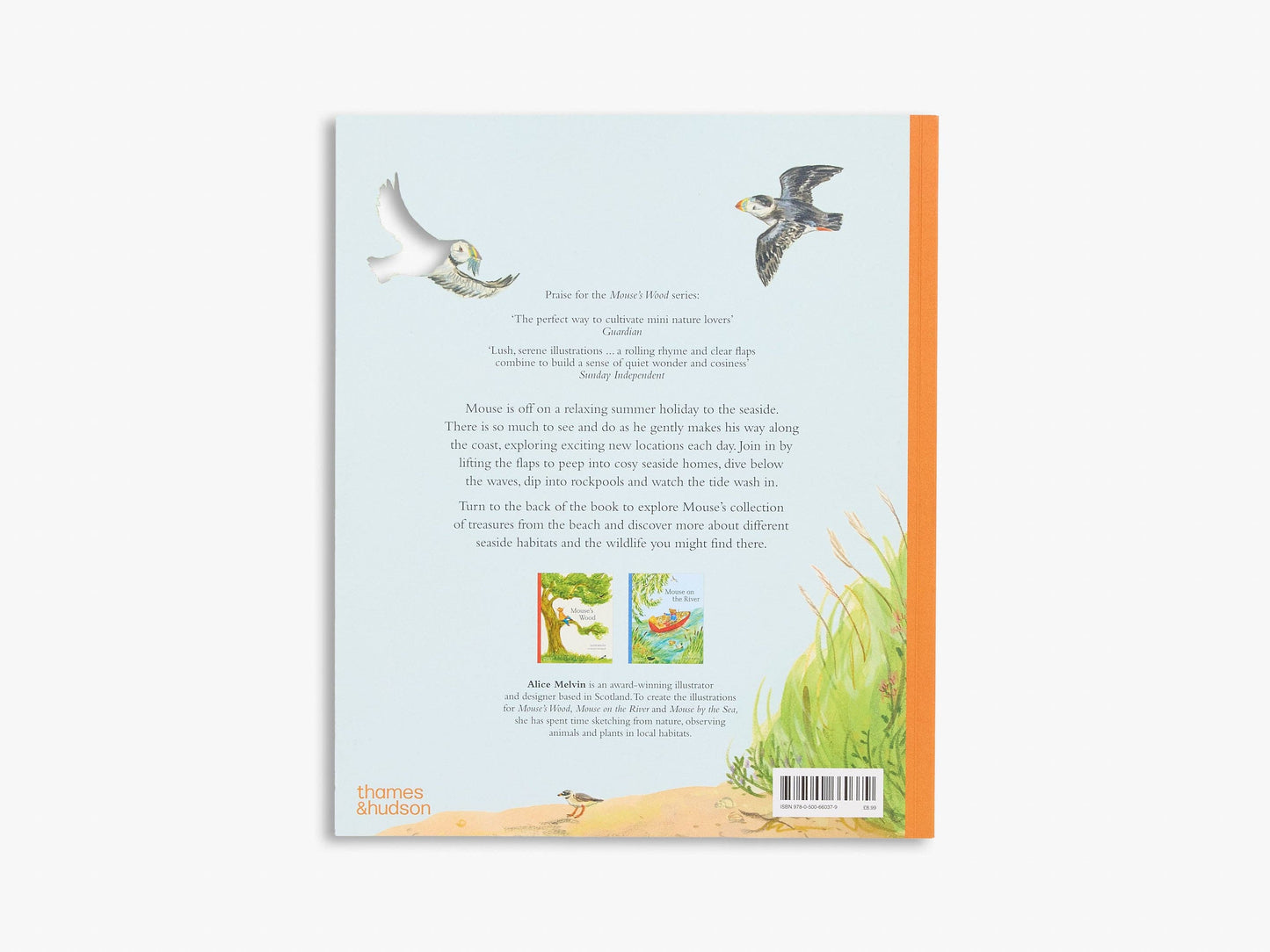 Mouse by the Sea (Mouse’s Adventures)