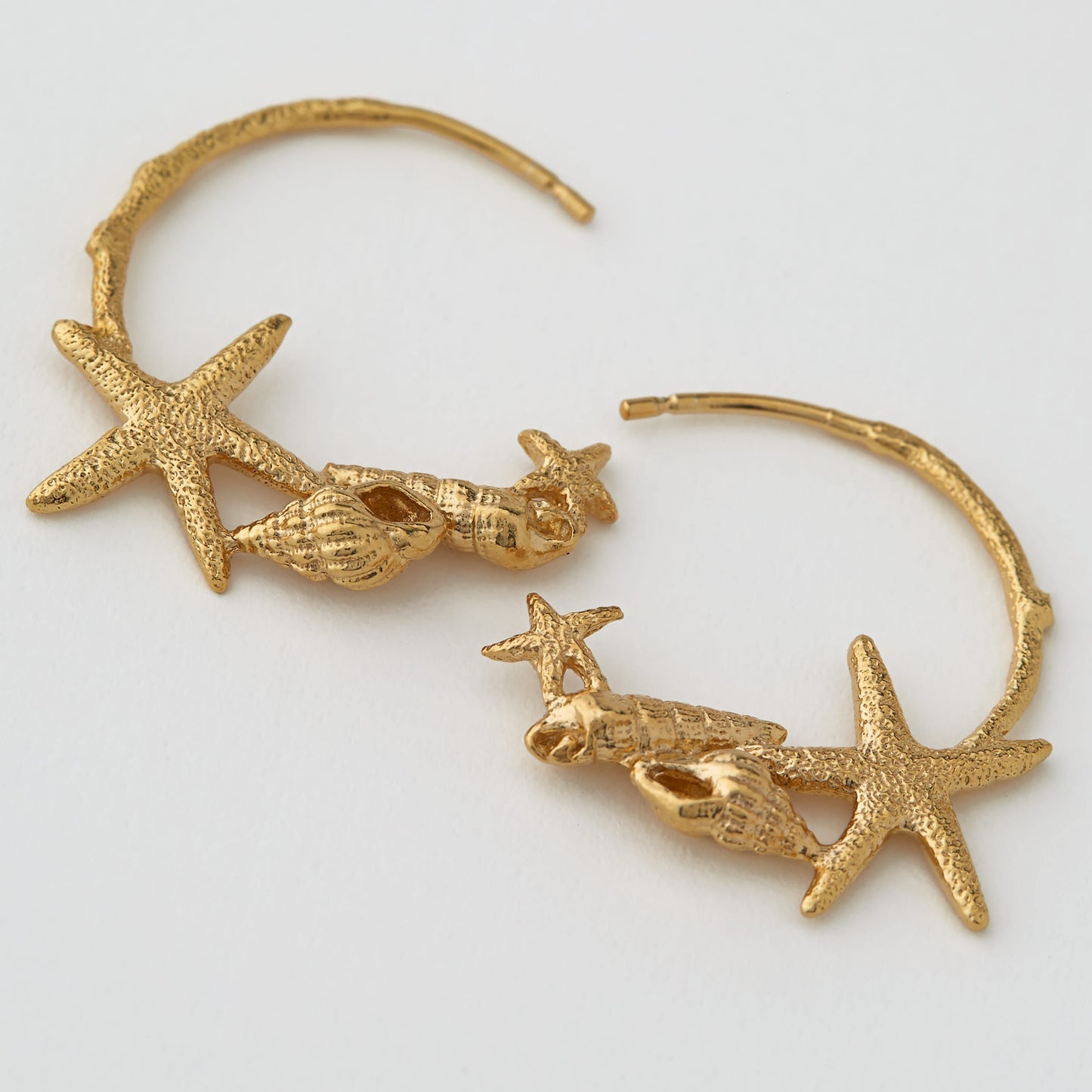 Starfish & Shell Hoop Earrings
